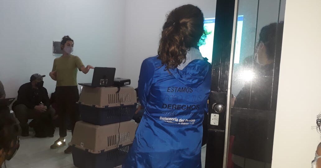 25-03 playon recorte