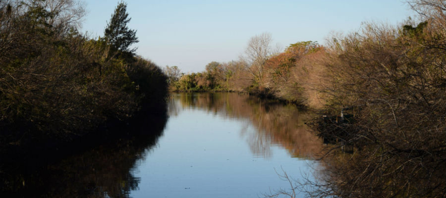 Arroyo-Medrano-1