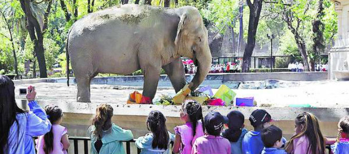 Gigante-Chicos-Zoo-NESTOR-GARCIA_CLAIMA20131031_0040_27