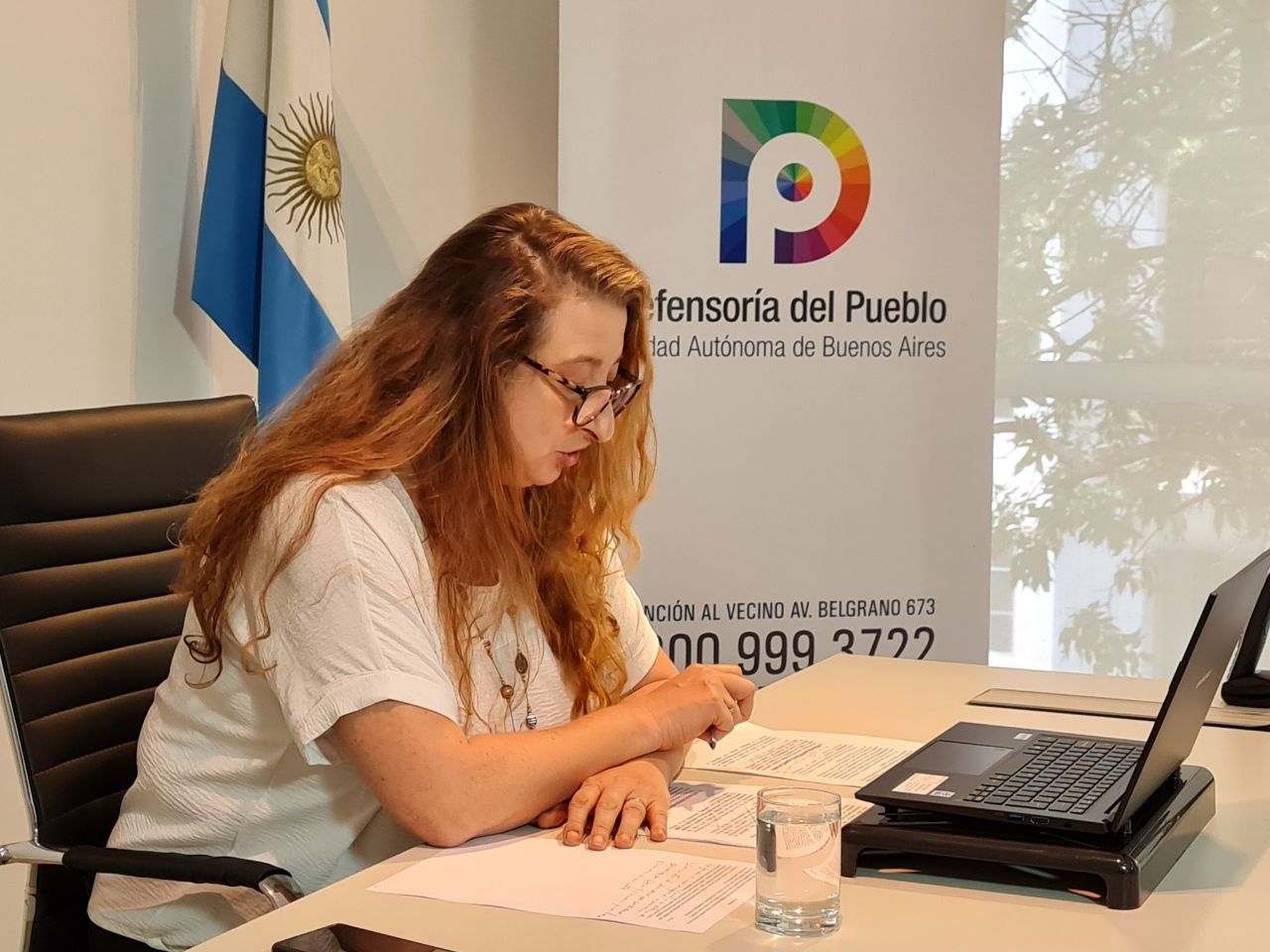 María Rosa Muiños en audiencia pública de electricidad