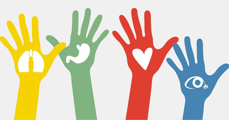 organos-donacion-800x420