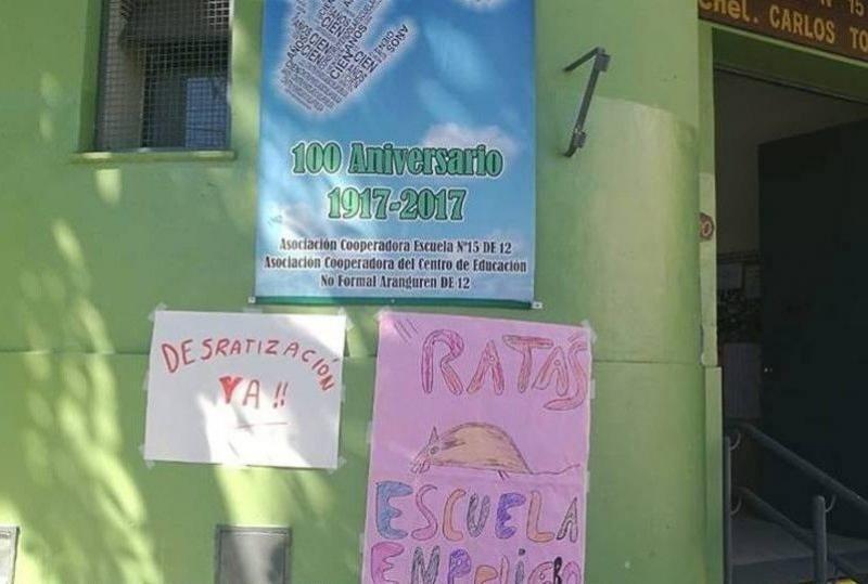ratas-escuela-flores