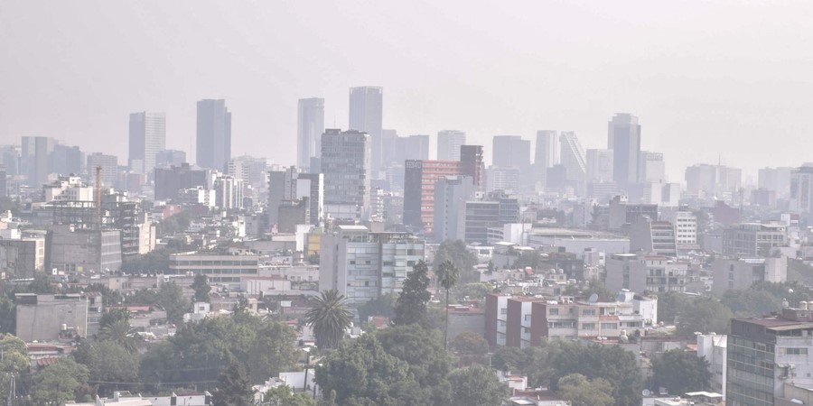 medio-ambiente