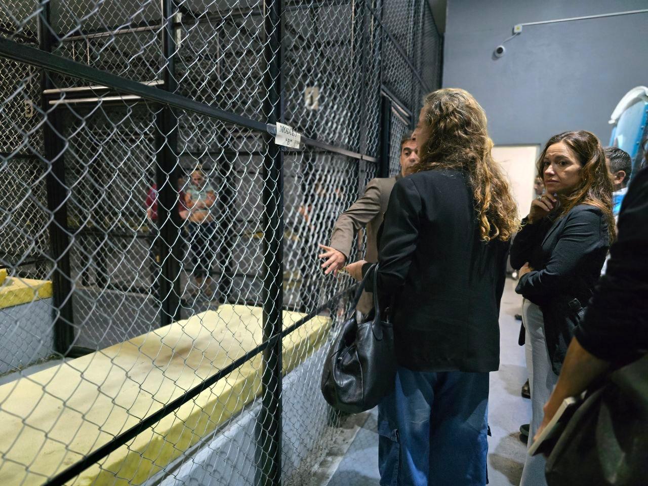 WhatsApp Image 2026-03-06 at 17.38.06