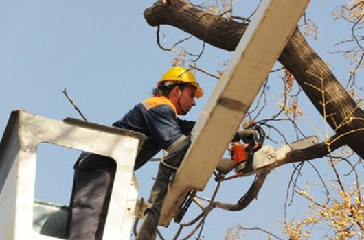 2017053017001958813-1