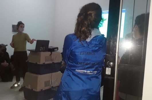 25-03 playon recorte