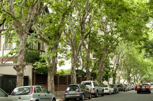 3-de-febrero-y-zabala-FINAL-FINAL