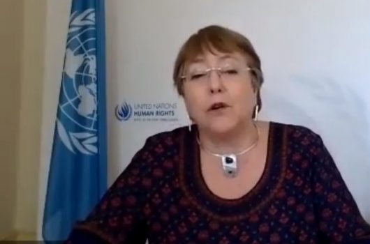 Alta comisionada web