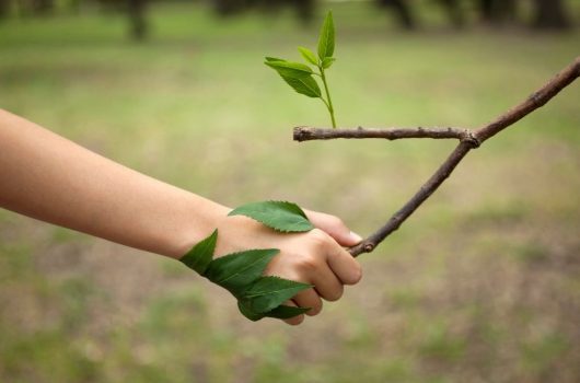 DIA-MUNDIAL-MEDIO-AMBIENTE-2021-FRASES