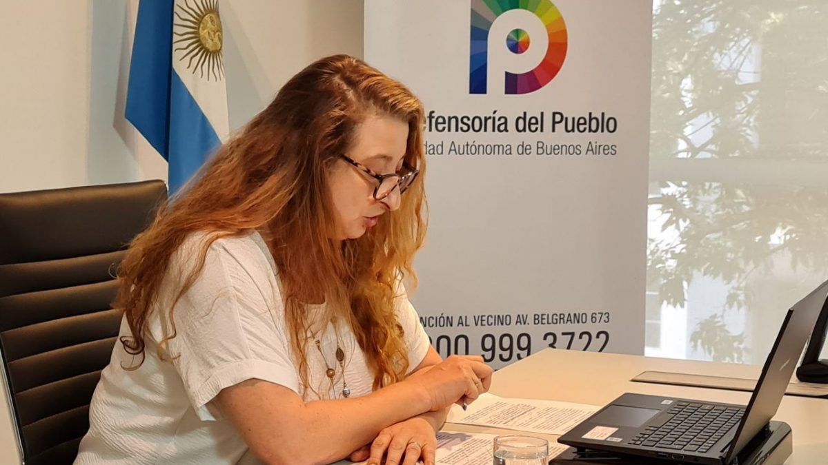 María Rosa Muiños en audiencia pública de electricidad