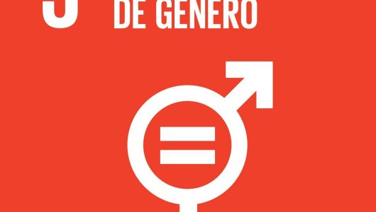 Participacion-en-Taller-sobre-Agenda-2030-y-Enfoque-de-G-nero-y-Derechos-Humanos-1