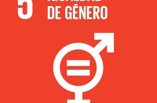 Participacion-en-Taller-sobre-Agenda-2030-y-Enfoque-de-G-nero-y-Derechos-Humanos-1