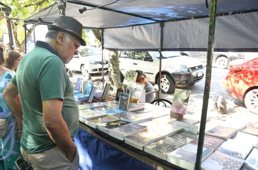 WhatsApp Image 2026-02-13 at 15.12.51