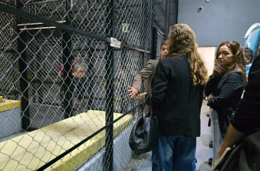 WhatsApp Image 2026-03-06 at 17.38.06