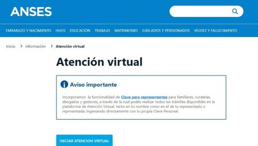 anses virtual