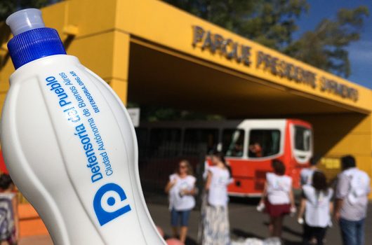 botellas-defensoria-pque-sarmiento_6228-web1