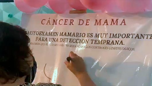 cancer de mama - feria del libro
