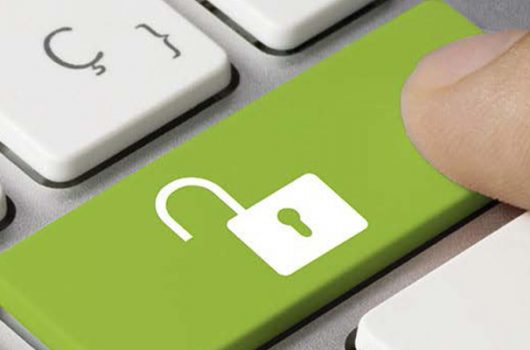 guia para manejar los datos personalers en internet 20.04 fin