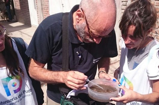 dengue-villa-21-900x400