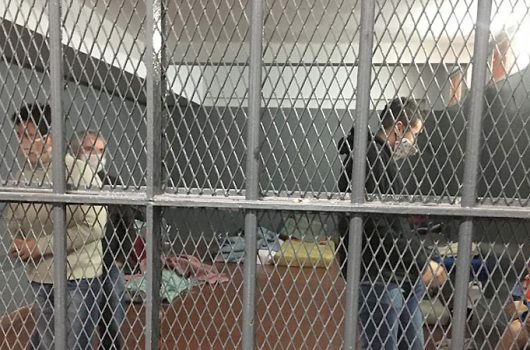 imagen alcaidia 13 900x450