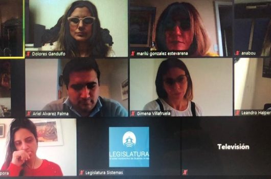 loli proyecto voluntarios