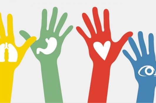 organos-donacion-800x420