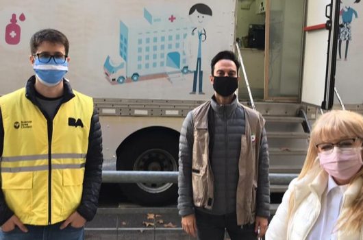 palmiotti comuna 5 web