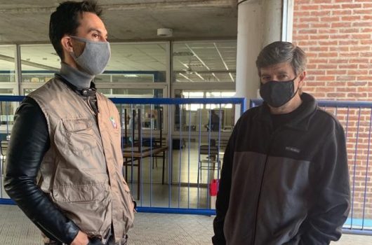 palmiotti y Battistella web