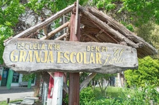 pozzali escuela granja