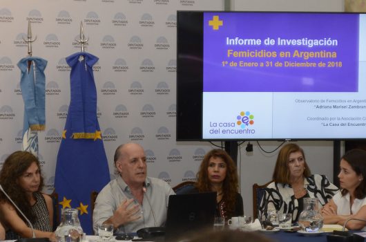 presentacion-del-informe-de-femicido