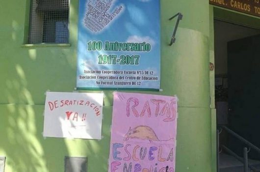 ratas-escuela-flores