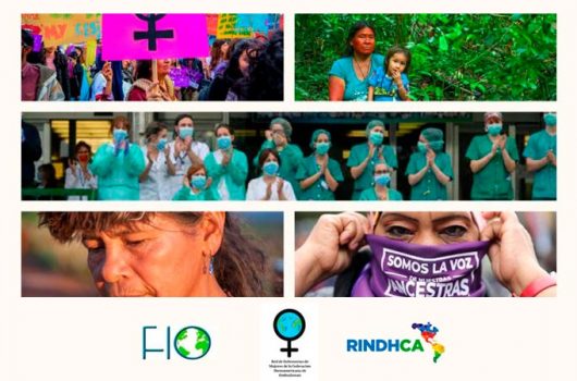 webinario “Protección de Defensoras de Derechos Humanos. Exposición de Prácticas Defensoriales Sostenibles”